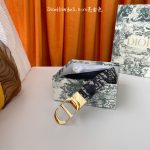 Dior Belt Ash
