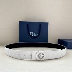 Dior Belt Lime Summer