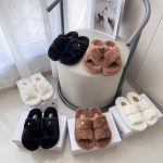Celine Shoe Cabinet Ash Street Style Autumn Winter