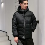 Prada Down Jacket Color Feather Goose