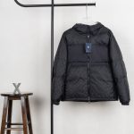 Louis Vuitton Down Jacket Duck Polyester Patch
