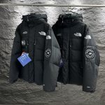 The North Face Short-Sleeved Shirt Ash Gore-Tex Down Street Style Winter