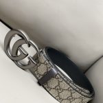 Supreme Belt Apricot Spring Early