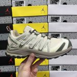 Salomon Running Shoes