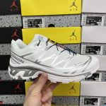 Salomon Running Shoes