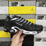 Nike Air Max Running