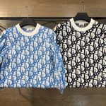 Dior Sweater Blue Jacquard