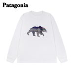 Patagonia Long-Sleeved Ash Cotton Pure Rock Climbing