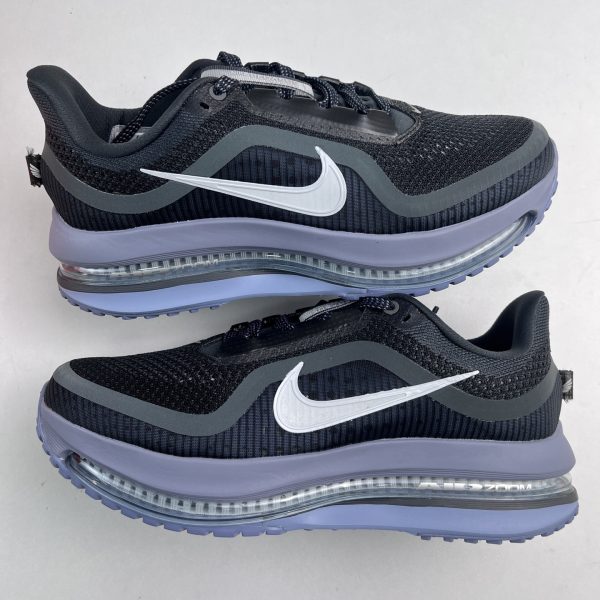 Nike Pegasus Running