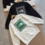 North Hoodie Ash Cotton Soft And Gentle Spring Autumn Winter Crisp Silhouette