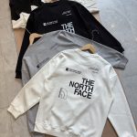 The North Face Hoodie Ash Cotton Soft And Gentle Spring Autumn Winter Crisp Silhouette