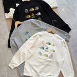 The North Face Hoodie Ash Cotton Soft And Gentle Spring Autumn Winter Crisp Silhouette