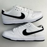 Nike Sb Dunk Blue