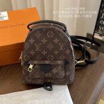 Louis Vuitton Backpack Eva