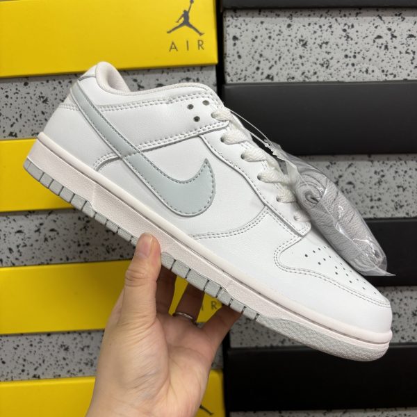 Nike Skate Shoes