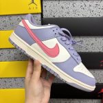 Nike Skate Shoes