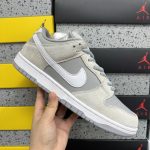 Nike Skate Shoes