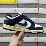Nike Skate Shoes