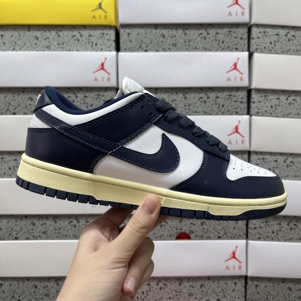 Nike Skate Shoes