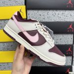 Nike Skate Shoes