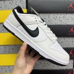 Nike Skate Shoes