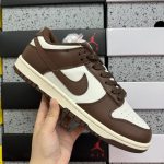 Nike Skate Shoes