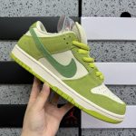 Nike Skate Shoes