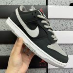 Nike Skate Shoes