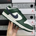 Nike Skate Shoes
