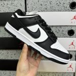 Nike Skate Shoes
