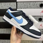 Nike Skate Shoes