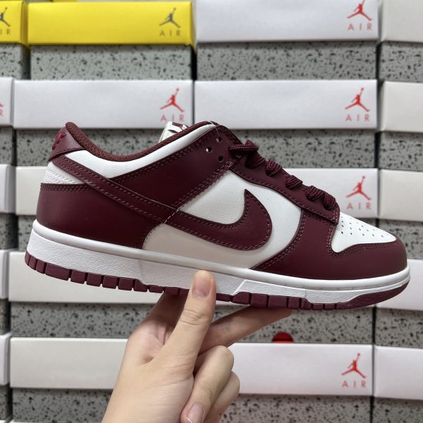 Nike Skate Shoes