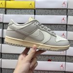 Nike Skate Shoes