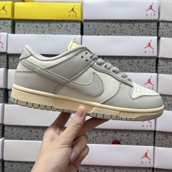 Nike Skate Shoes