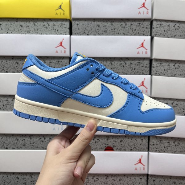 Nike Skate Shoes