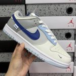 Nike Skate Shoes