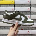 Nike Skate Shoes