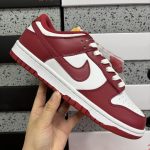 Nike Skate Shoes
