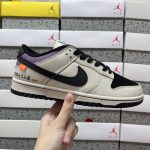 Nike Skate Shoes