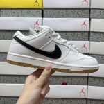 Nike Skate Shoes