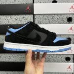 Nike Skate Shoes