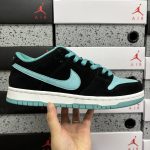 Nike Skate Shoes