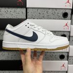 Nike Skate Shoes