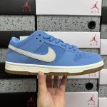 Nike Skate Shoes