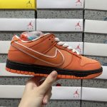 Nike Skate Shoes
