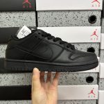 Nike Skate Shoes