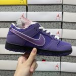 Nike Skate Shoes