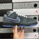 Nike Skate Shoes