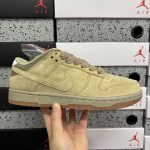 Nike Skate Shoes