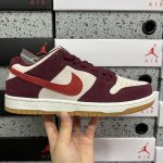 Nike Skate Shoes